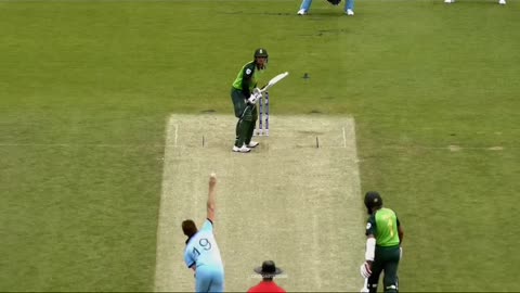 Scenes behind the green pitch in cricket