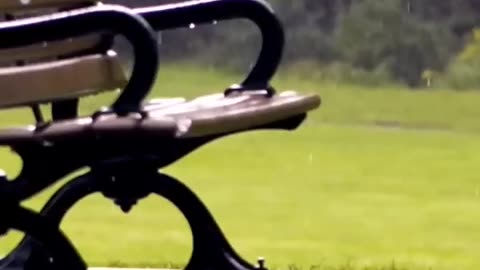 Remembering Those We Miss #gonebutneverforgotten