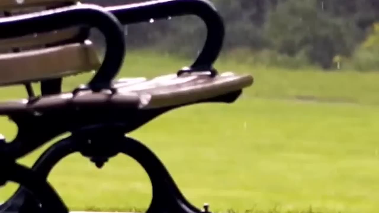 Remembering Those We Miss #gonebutneverforgotten