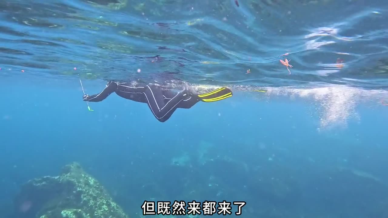 摩洛哥第4集 耗时6天只为挑战百斤重的蓝鳍金枪鱼鱼肉口感秒胜黄鳍金枪#WonderLab奶蓟草胶囊