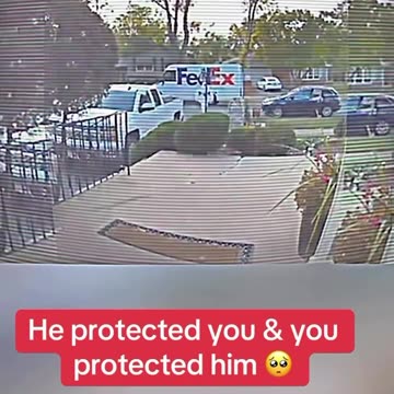 FEDEX DRIVER STOPPED ATTEMPTED ROBBERY