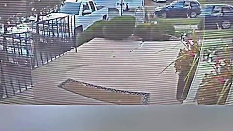 FEDEX DRIVER STOPPED ATTEMPTED ROBBERY