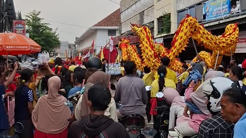 see the chinese new year celebration