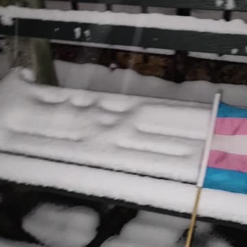 Trans Rights Are Human Rights.