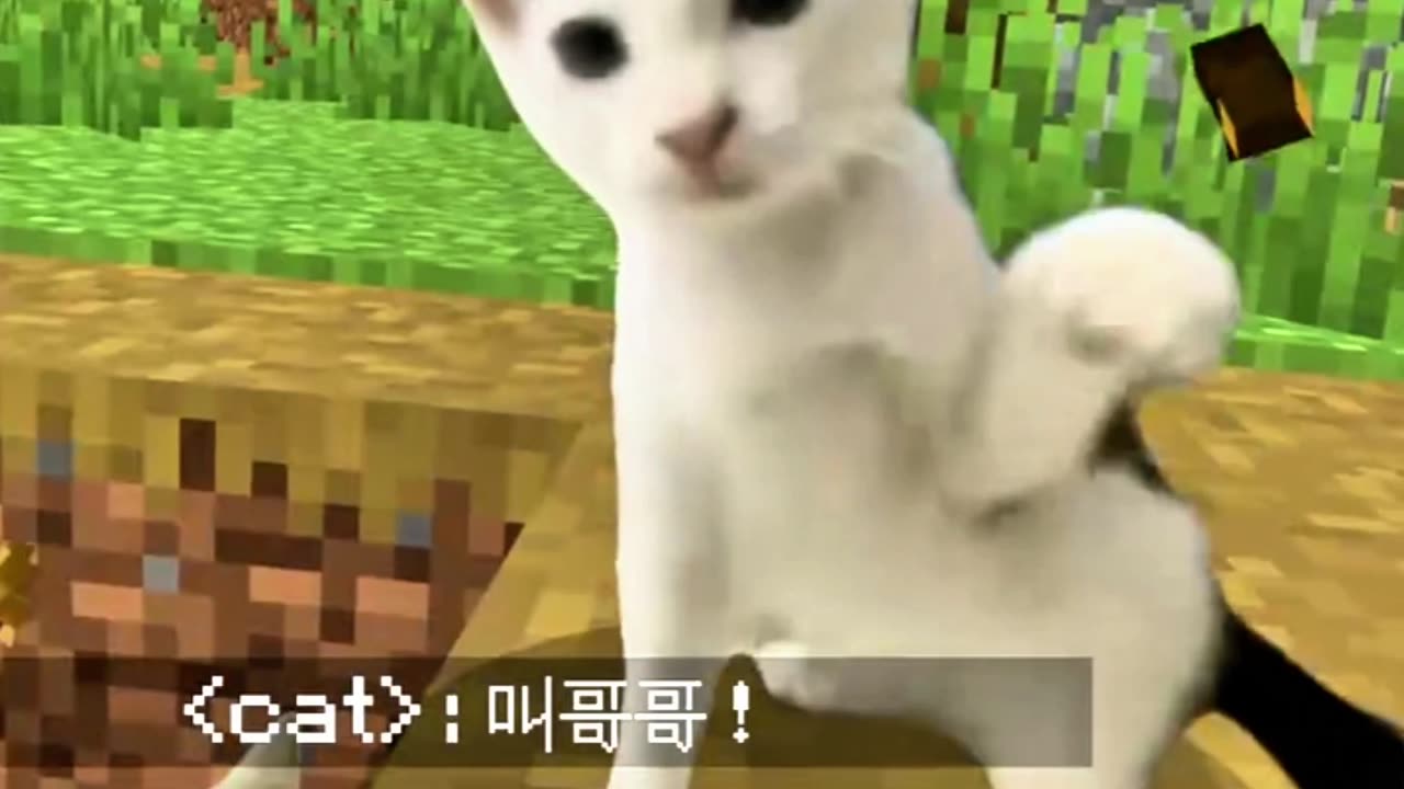 Call me brother #Minecraft #cat