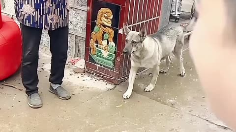 This video will melt your heart! ❤️