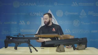 The best airguns for pest control
