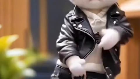 So sweet cat dance video