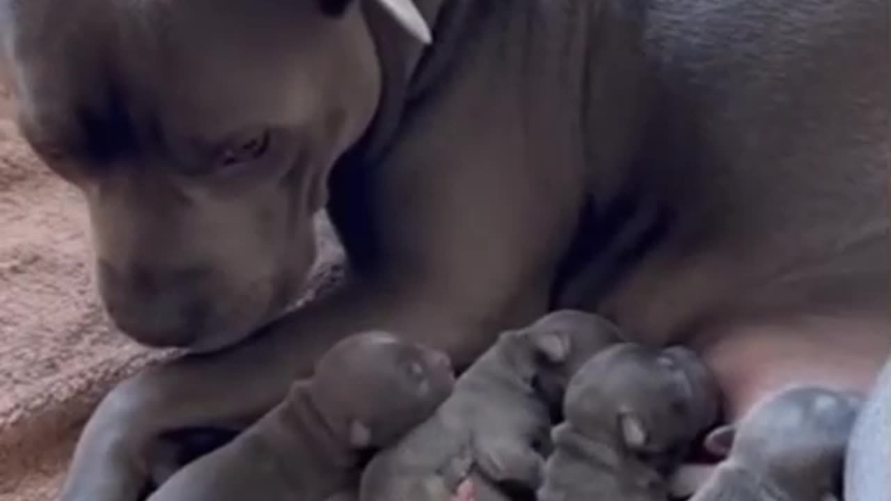 Taking Care of Babies