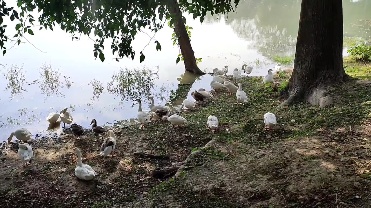 Kaargil Park of Kanpur