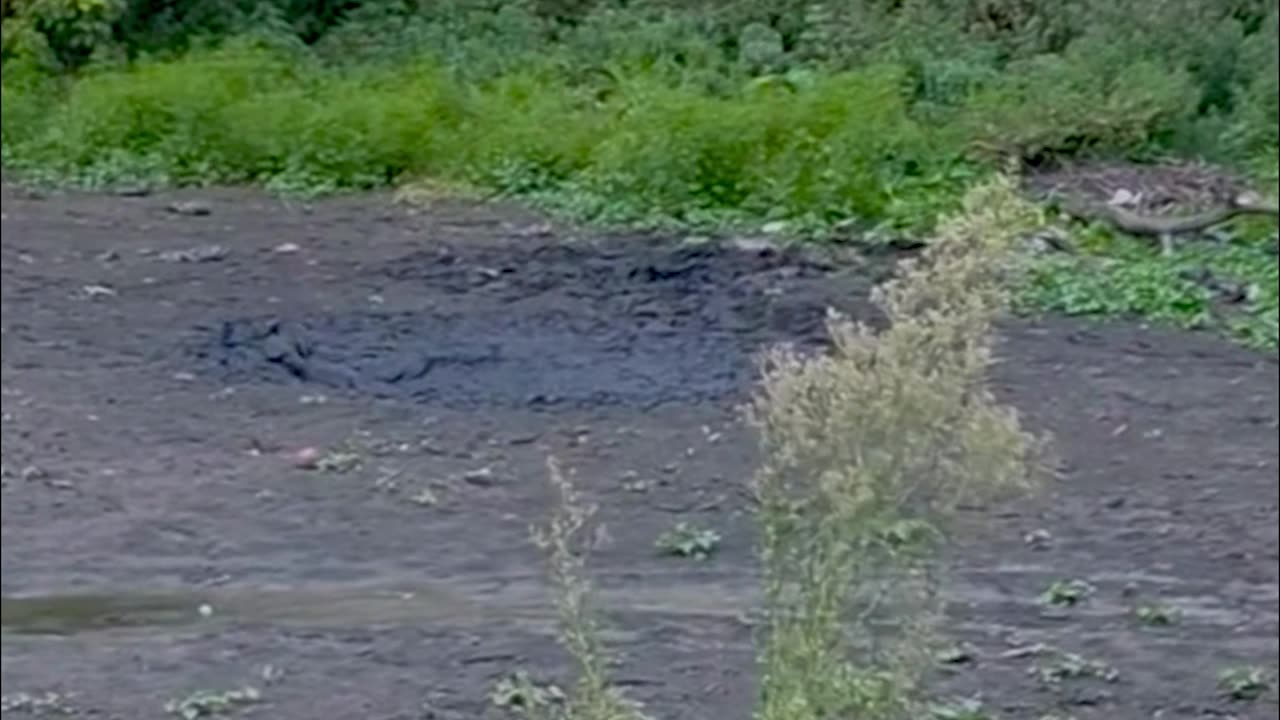 Guy on Drugs in Mud Pit