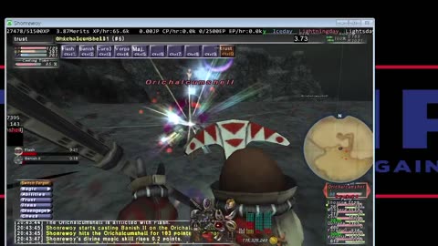 Playing Final Fantasy XI Online