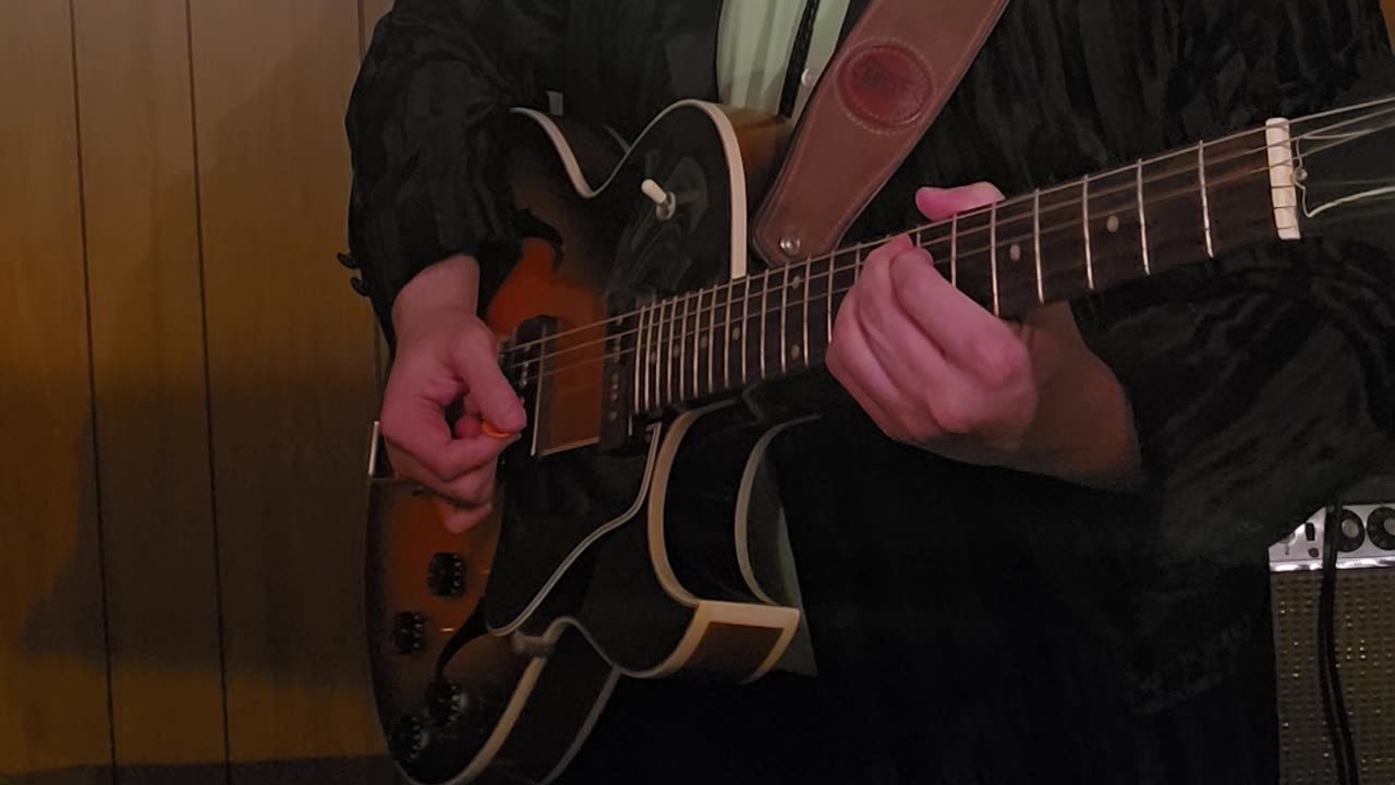 Es135 Gibson Guitar.