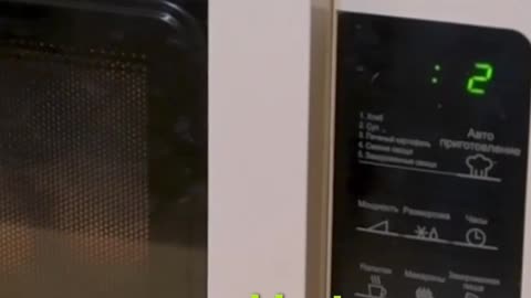 Scientific Accidents — Entry #4: Microwave Oven