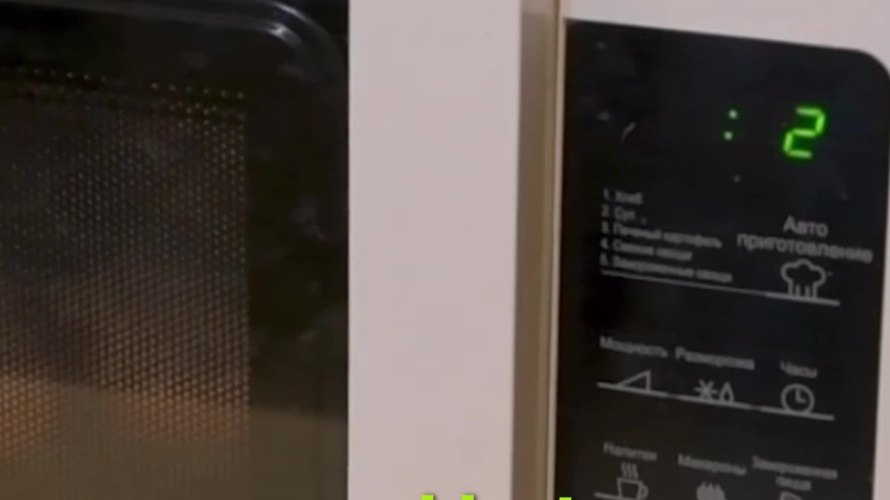 Scientific Accidents — Entry #4: Microwave Oven