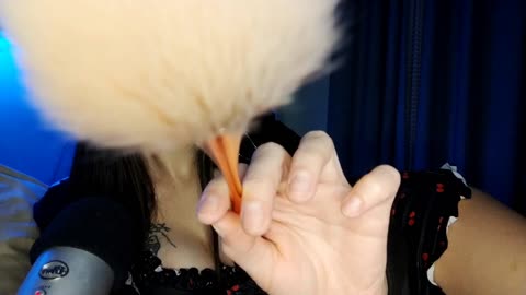 🍒❤️MIMITOS y CARIÑOS desde mi CAMITA