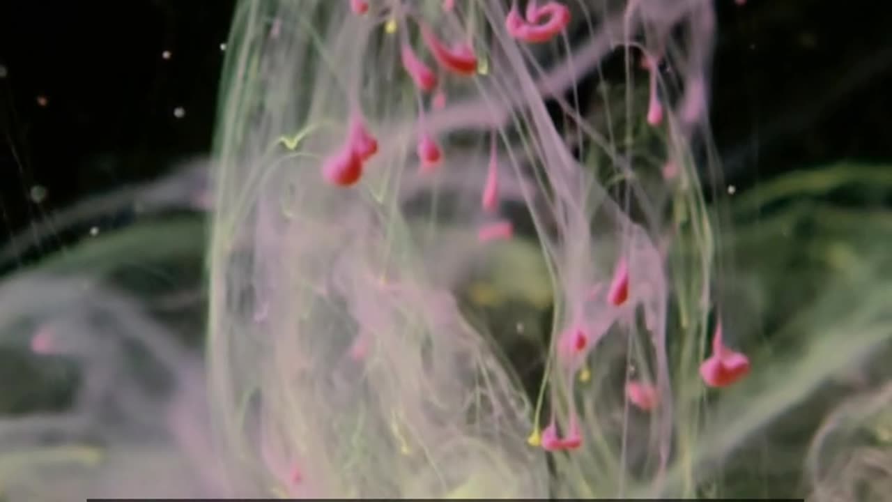 Daily Horoscope | Gemini 🌟