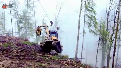 DANGERIOUS IDIOTS