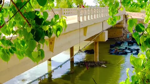 Dadu Canal, Village Phulpota, Sindh #reels #shorts #maxrecords