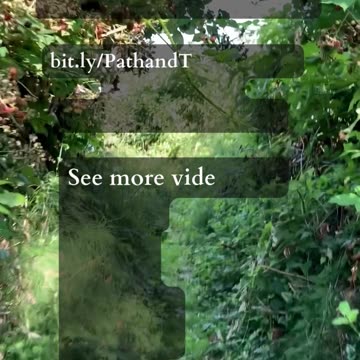 Shape Your Future | Path and Tarot Reading