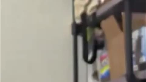 Bitcoin - Banks are Insolvent, Dollar's Downfall!