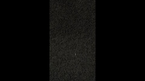 Test 0925