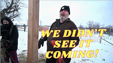 Car CRASH With An AMISH Horse And BUGGY!