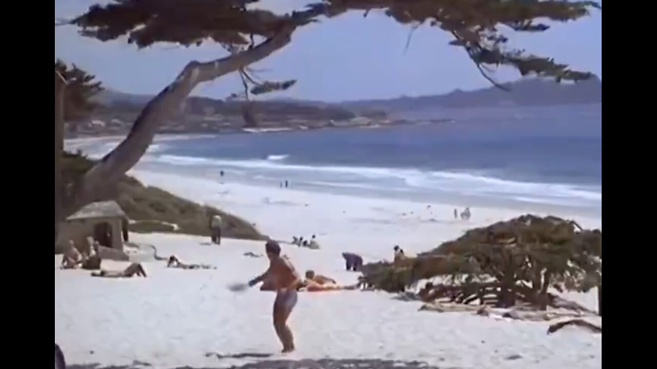 California Before Diversity