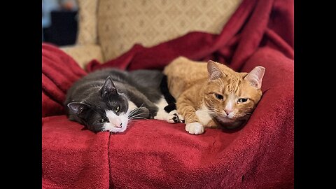 Episode 3017 CWSA 11/13/25