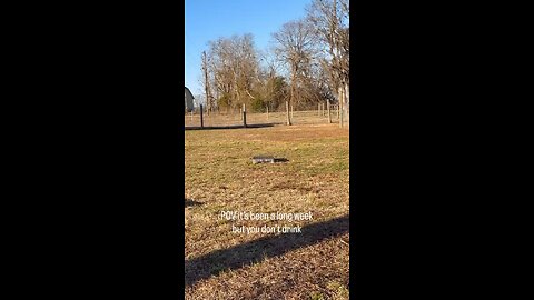 Love All Life Always #512 - Solution For A Bad Day When You Don't Drink. Me Next!!