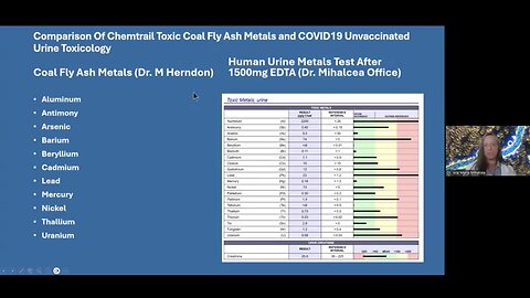 1st International Panel on Geoengineering Weather Modification