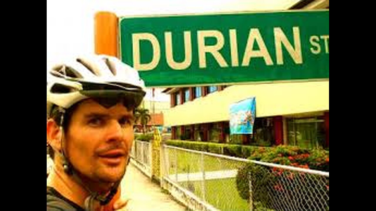 SUGAR & BIKE MaKES EVERYTHING NICE!