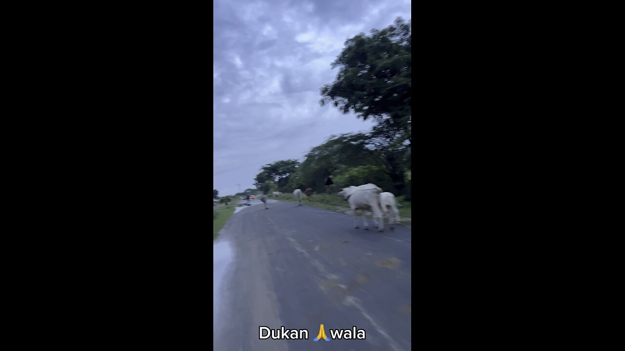 Accident ke bad kya. Huaa.