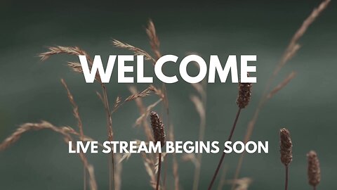 Beacon of Hope Live Stream