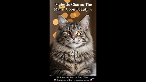 The Most Adorable Giant on the Internet 🐾✨ | Maine Coon: Beauty, Charm, and Charisma