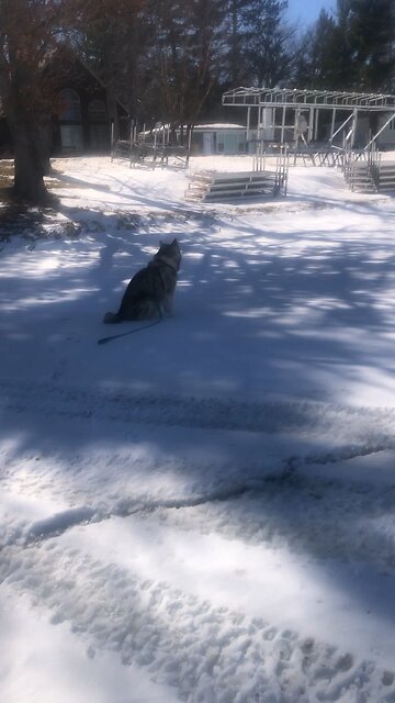 Sunday March 9, I know that my redeemer lives.