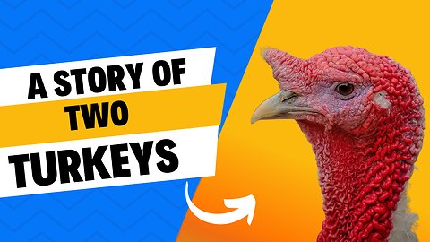 Cold Turkey Clash: Which Will You Choose?