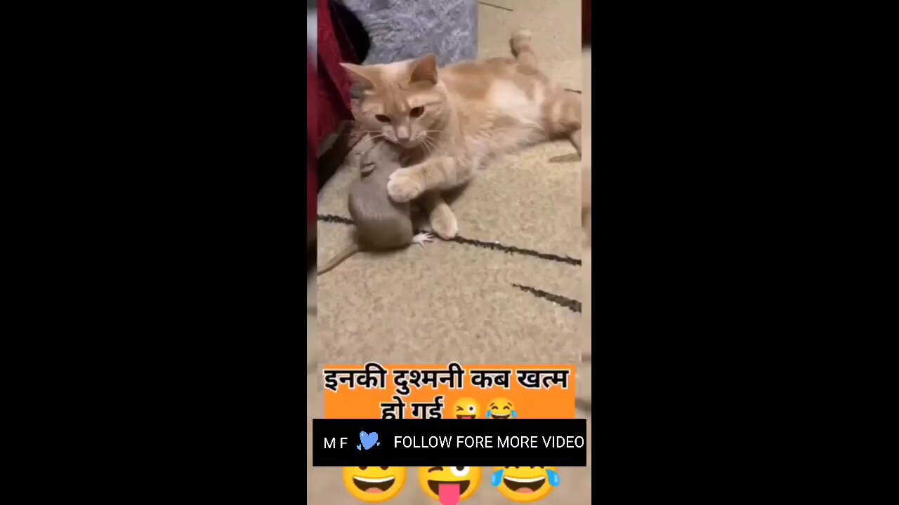 like video