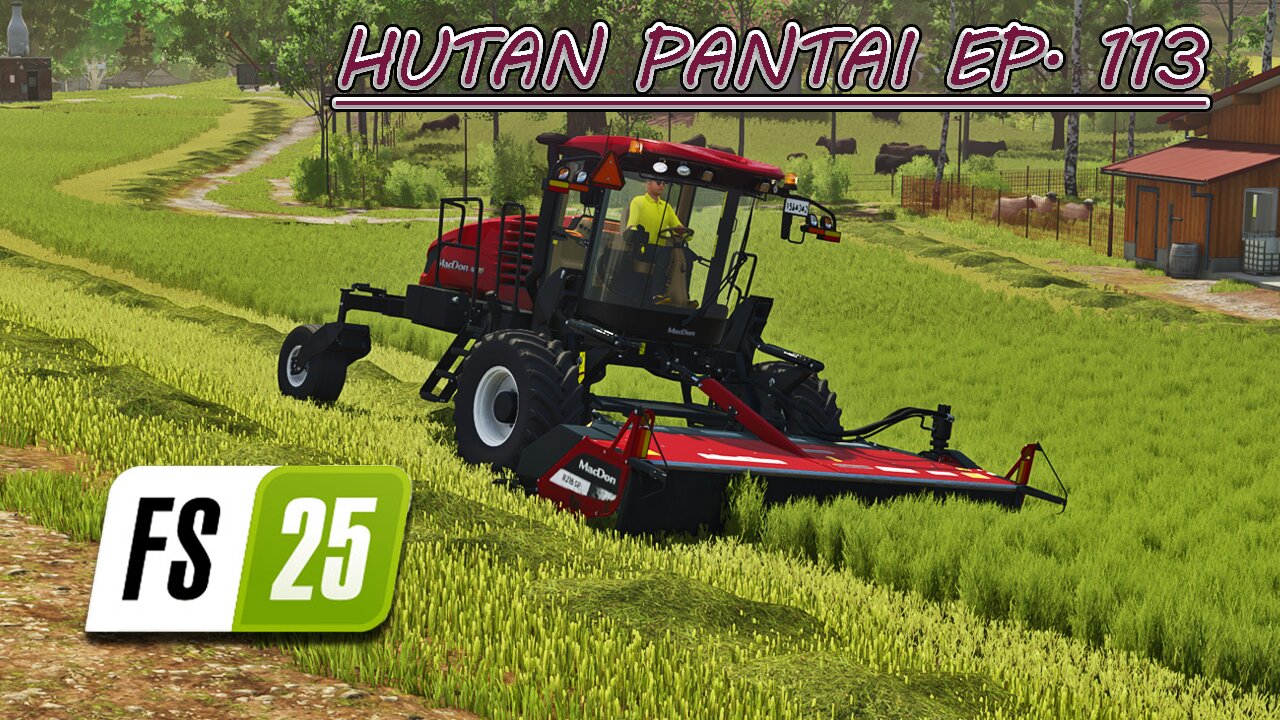 Taking Wool to Spinnery. Mowing, Windrowing & Baling. |4k| HUTAN PANTAI EP. 113 | Farming Simulator 25