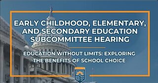 Education Without Limits: Exploring the Benefits of School Choice