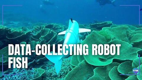 Data-collecting robot fish