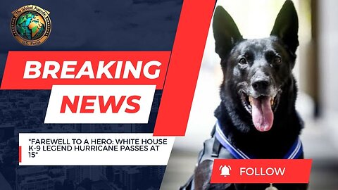 White House Hero: Most Decorated K-9 in U.S. History Dies at 15