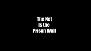 What is The Net