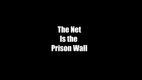 What is The Net