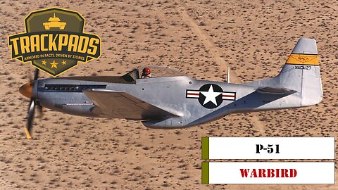 P-51 Warbird Overview