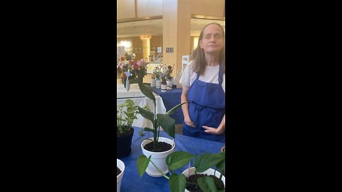 Market stones, river mall, Murfreesboro, Tennessee 11/22/22