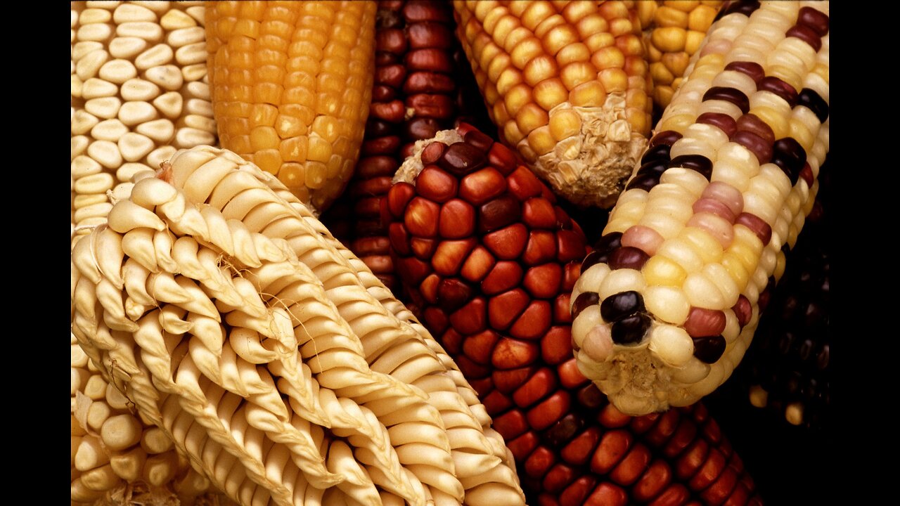 Food For Poor People - Bio Engineering & Precision Breeding Act 2023