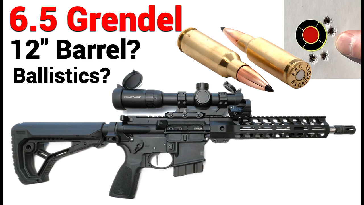 PSA 6.5 Grendel - 12" Barrel? What can YOU expect?