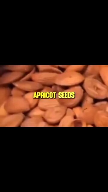 APRICOT SEEDS CURE CANCER 👊