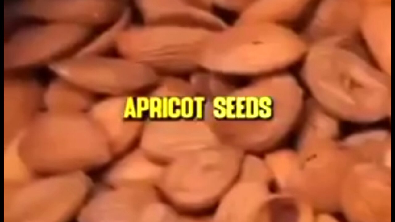 APRICOT SEEDS CURE CANCER 👊